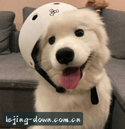 周婷